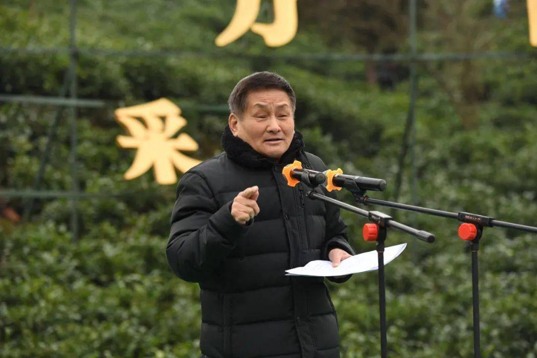 贵州绿茶第一采著名作家叶辛天下第一贵州绿喜得佳茗捧回家