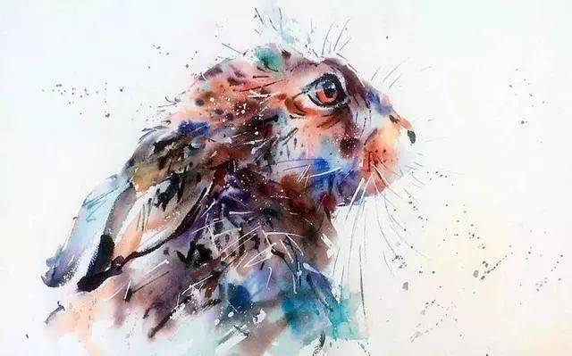 英国的艺术家Jake Winkle动物水彩画，太生动可爱了吧！_手机搜狐网
