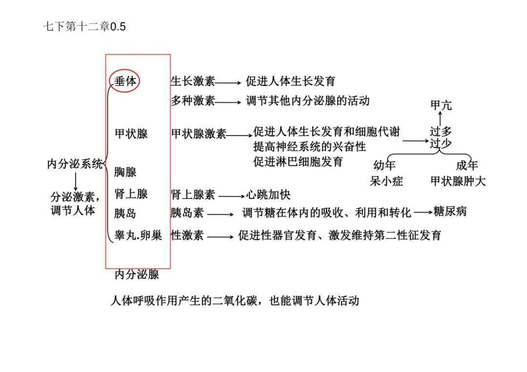 生物内分泌思维导图图片