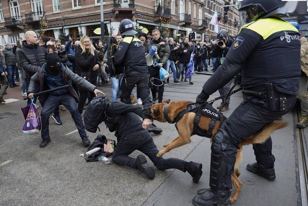 早安·世界｜荷兰首都爆发反封锁抗议，警察放狗撕咬示威者