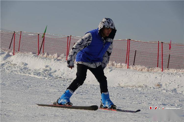 武邑薛庄滑雪场图片