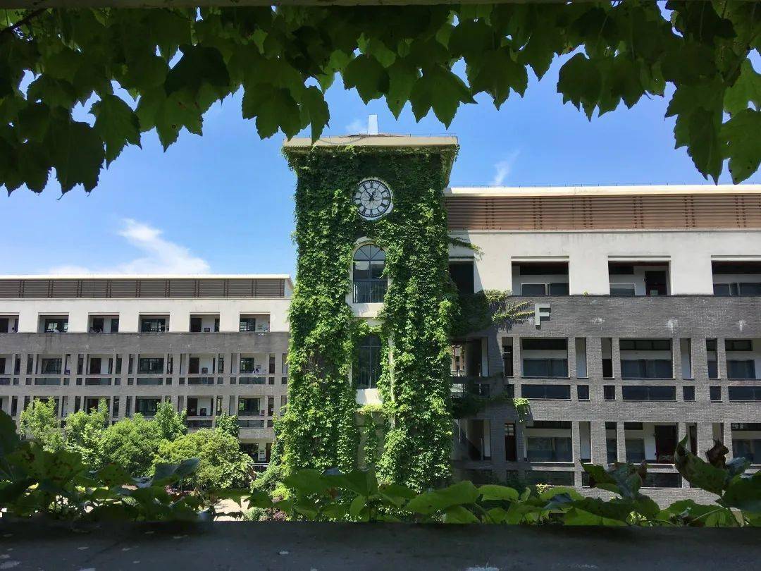 校園採風杭州第七中學藝文兼修謀發展毓文敦美綻芳華