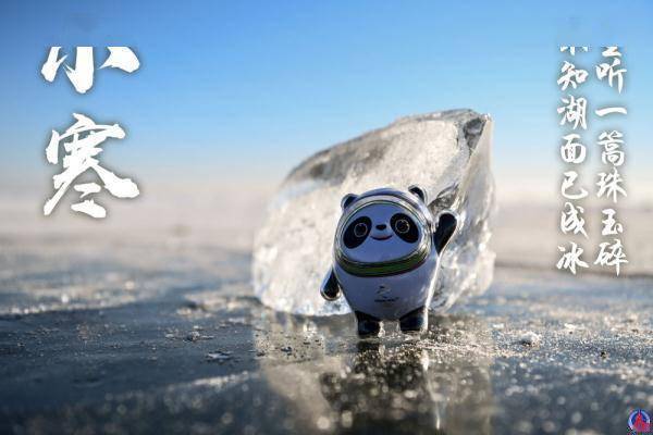 海报|冰墩墩打卡二十四节气·小寒