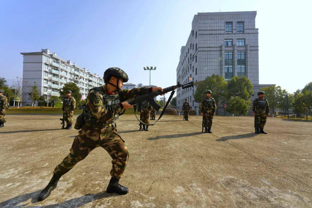 向战而行第81集团军某旅武警廊坊支队武警丽水支队武警黔西南支队