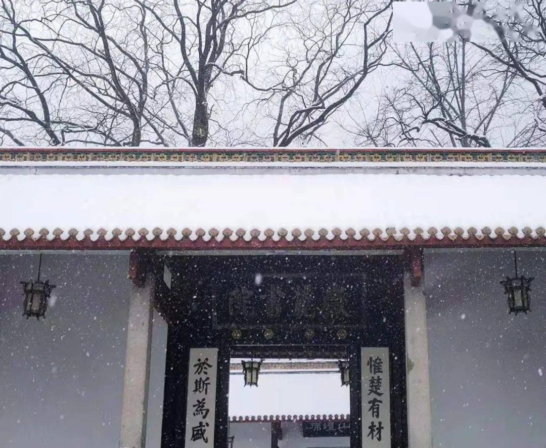 岳麓书院雪景图片