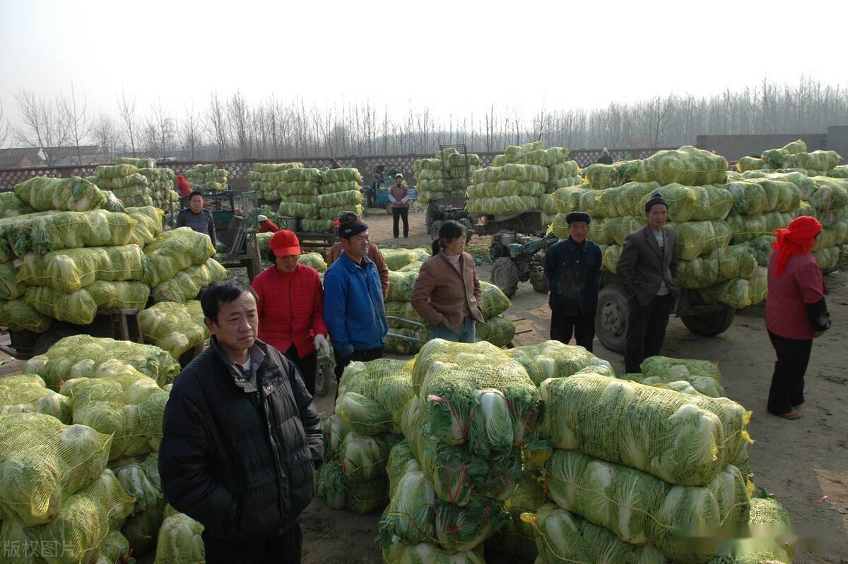 农村一些农产品滞销的本质是什么农民总结有三点切中要害了