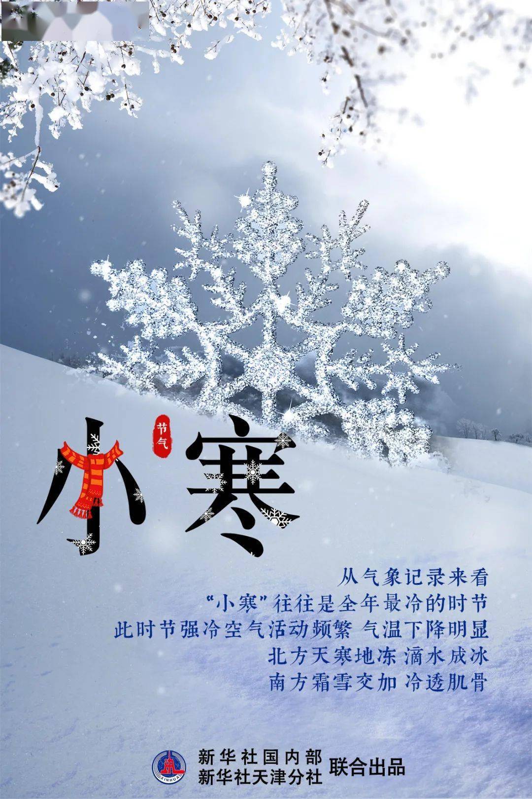 小寒寒极心向暖岁末待春袭