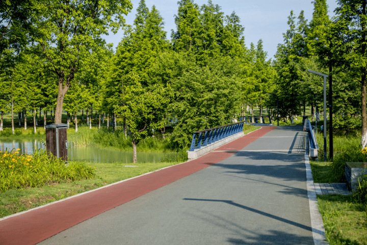 心旷神怡绿意盎然新一批浙江最美绿道名单公布在你家附近吗