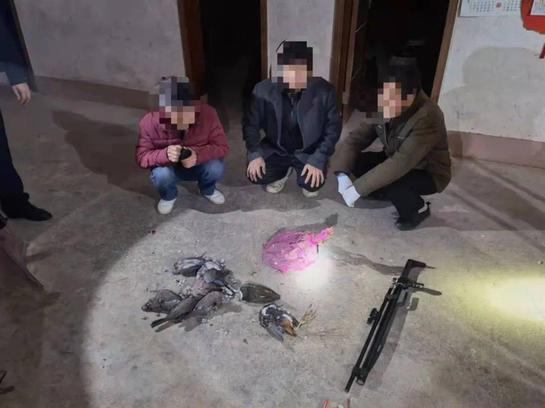 捕猎的斑鸠十三只,钢珠弹药若干,当场查获用于打猎的涉案枪支5把朱某