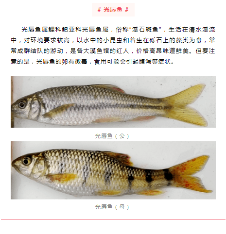 757f3373ceb8415181fd5b13773764c1.png