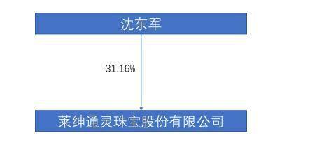 沈东军复盘莱绅通灵“宫斗”始末：接手大笔股权的“新买家”与“老同事”引质疑，权力之争白热化