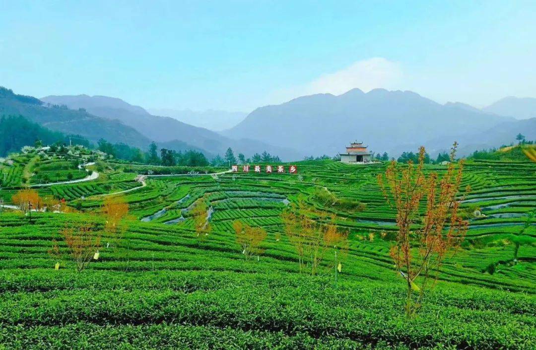 万源市固军镇擦亮红色名片做活绿色文章