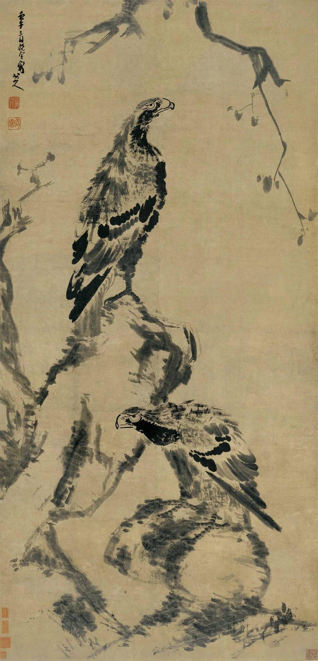 八大山人花鸟：虚实相生，无画处皆成妙境！_搜狐网