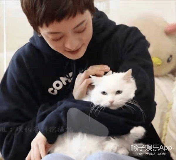 闪闪发光的我们演员表 bb53ddf2deb745d2a9a373235a1503ea.png