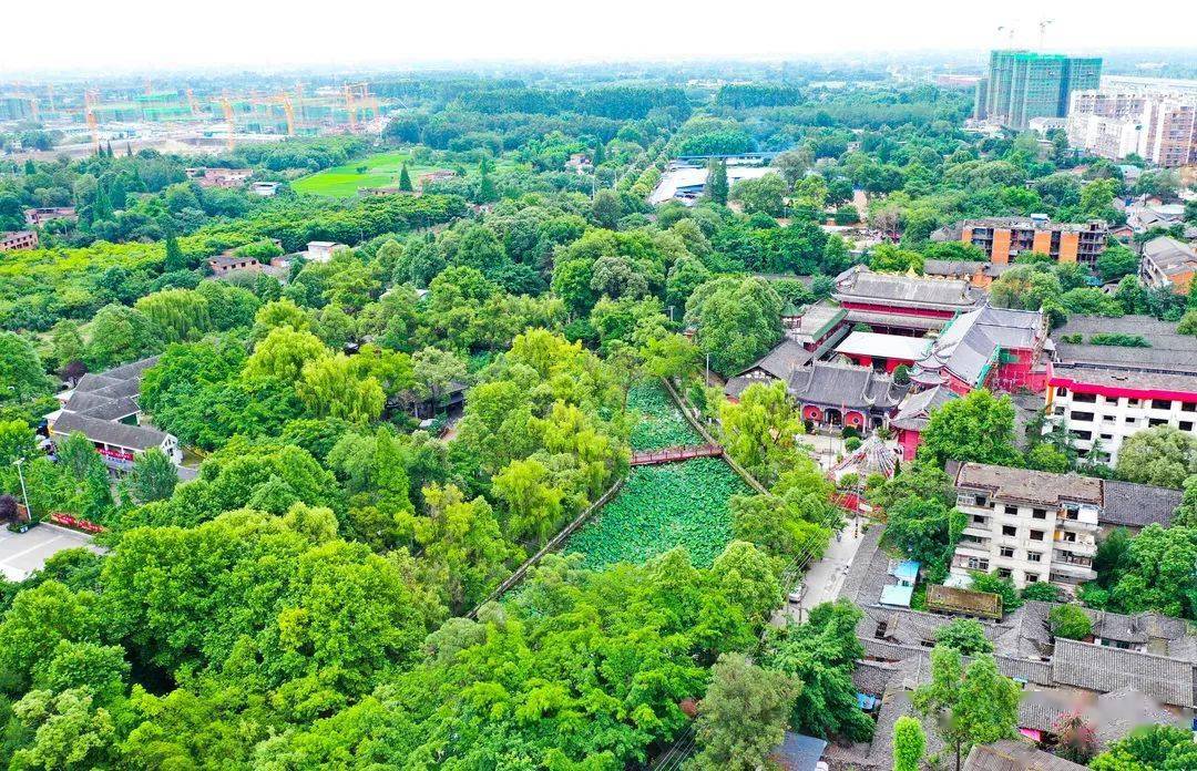 入选首批成都市乡村文化振兴样板镇青白江区城厢镇凭什么