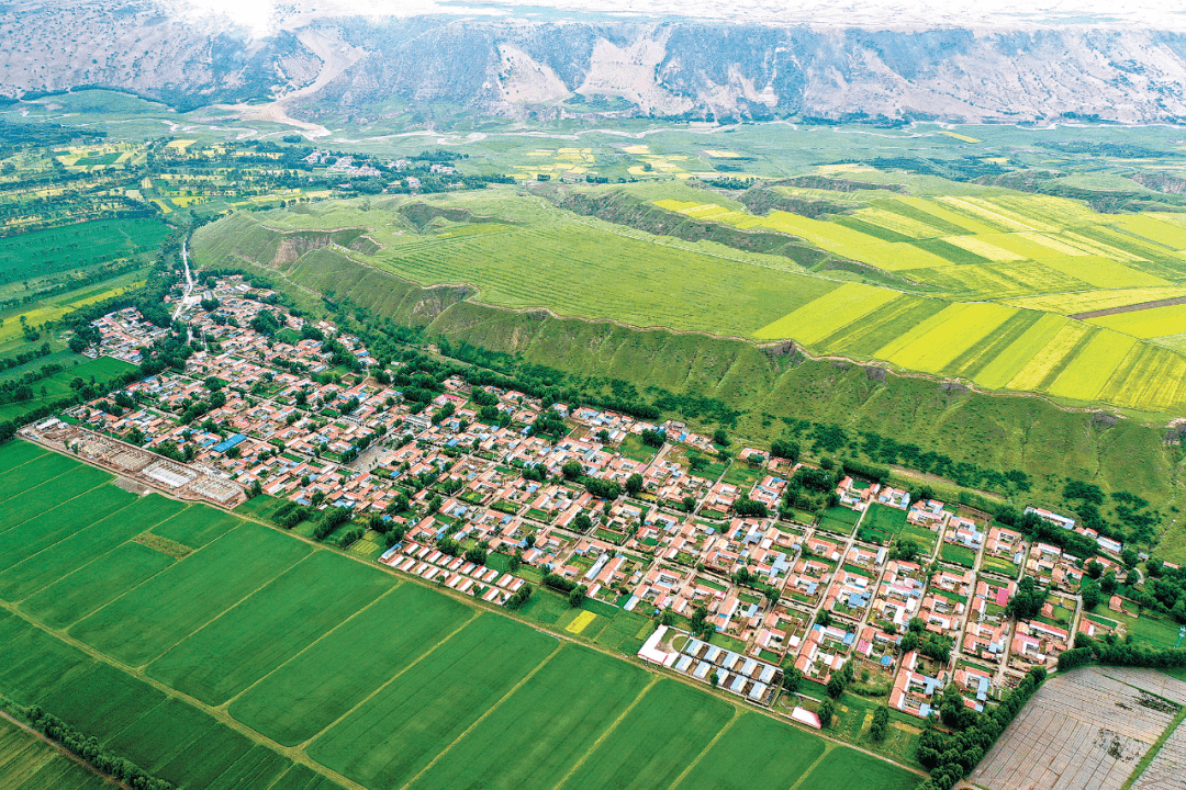 "天路飘香"向远方_发展_畜牧业_贵南县