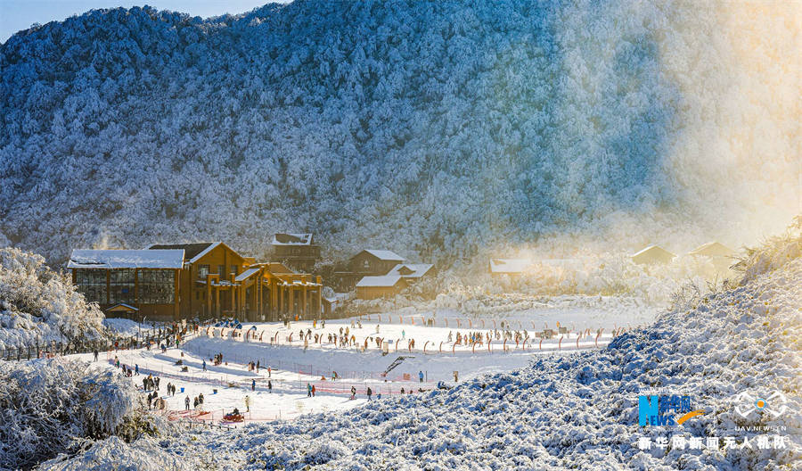 雪花|瑞雪开启新年 重庆金佛山变身“南国雪原”