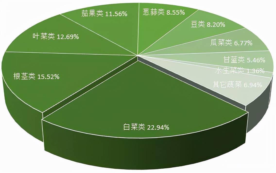 PP电子官方网2021年云南省白菜财产发揭示状剖析(图7)