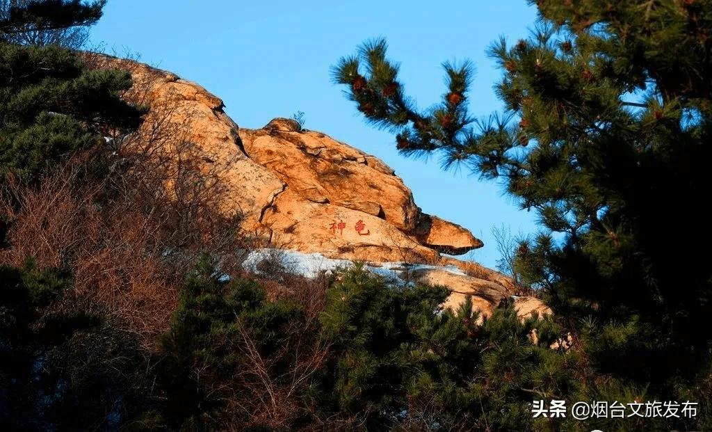 美酒|门票3折！新年来烟台这些景区，放纵玩！