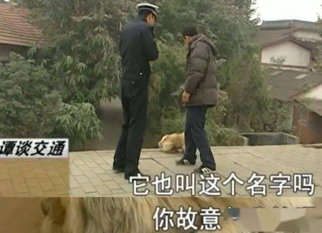 谭警官|这档停播4年的普法真人秀，凭什么是“国内最好看的综艺节目”？