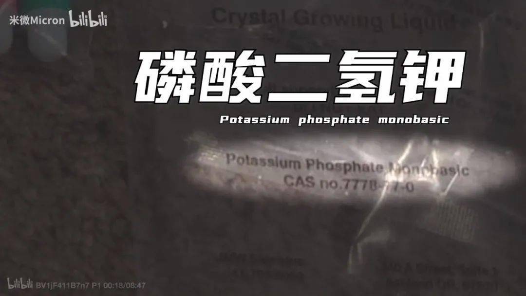 实验|500W网友围观！90后学霸猜出这玩意的配方后，造了一棵超大号