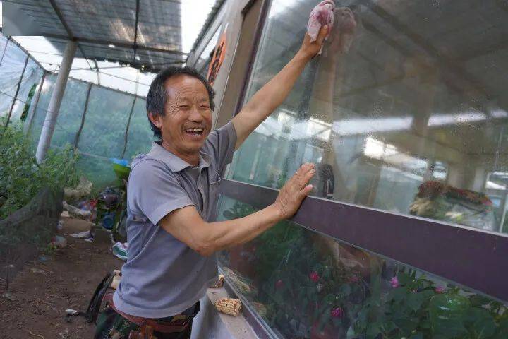 出色岫岩乡村振兴交出答卷