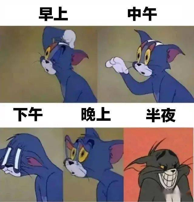 e011d8ee659240969a739ac76d18a6e2.jpeg