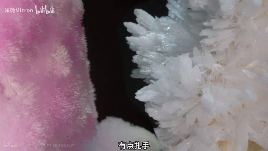 实验|500W网友围观！90后学霸猜出这玩意的配方后，造了一棵超大号