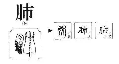 广东省|“粤”字怎么写？快看你写错了没