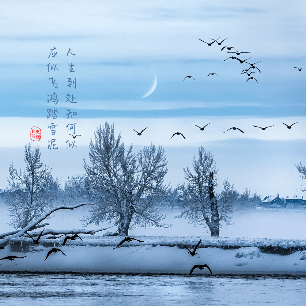 烟雨任|苏东坡，生辰快乐！