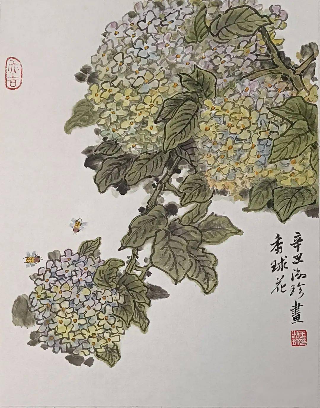 珍鑫瑜树 王淑珍花卉国画小赏