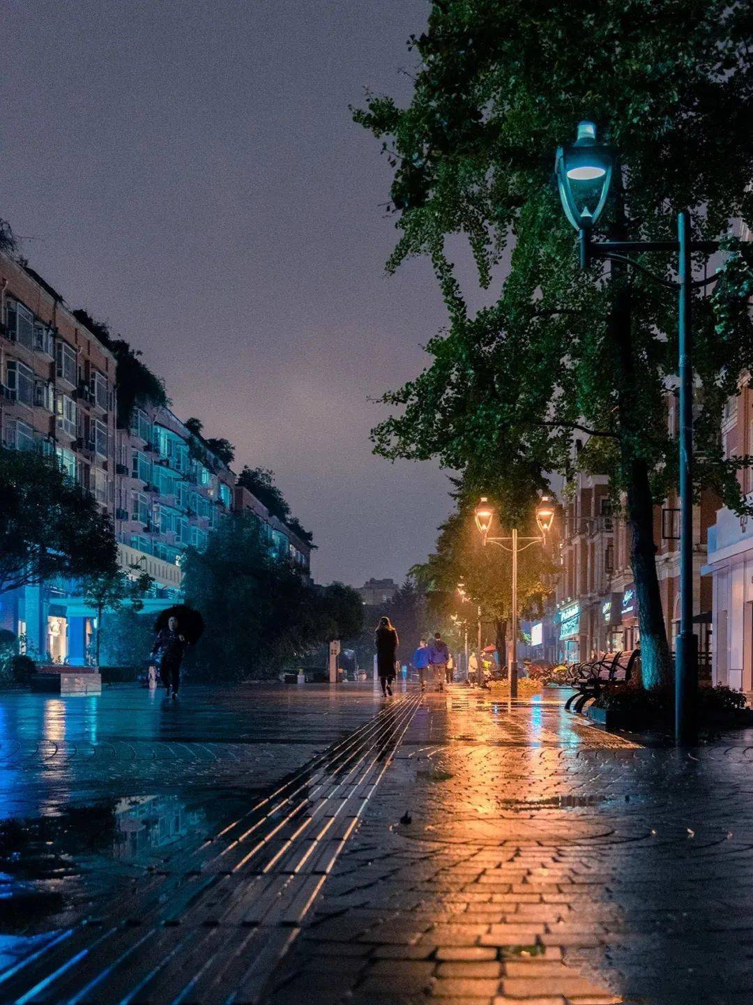 雨夜无眠听雨思人