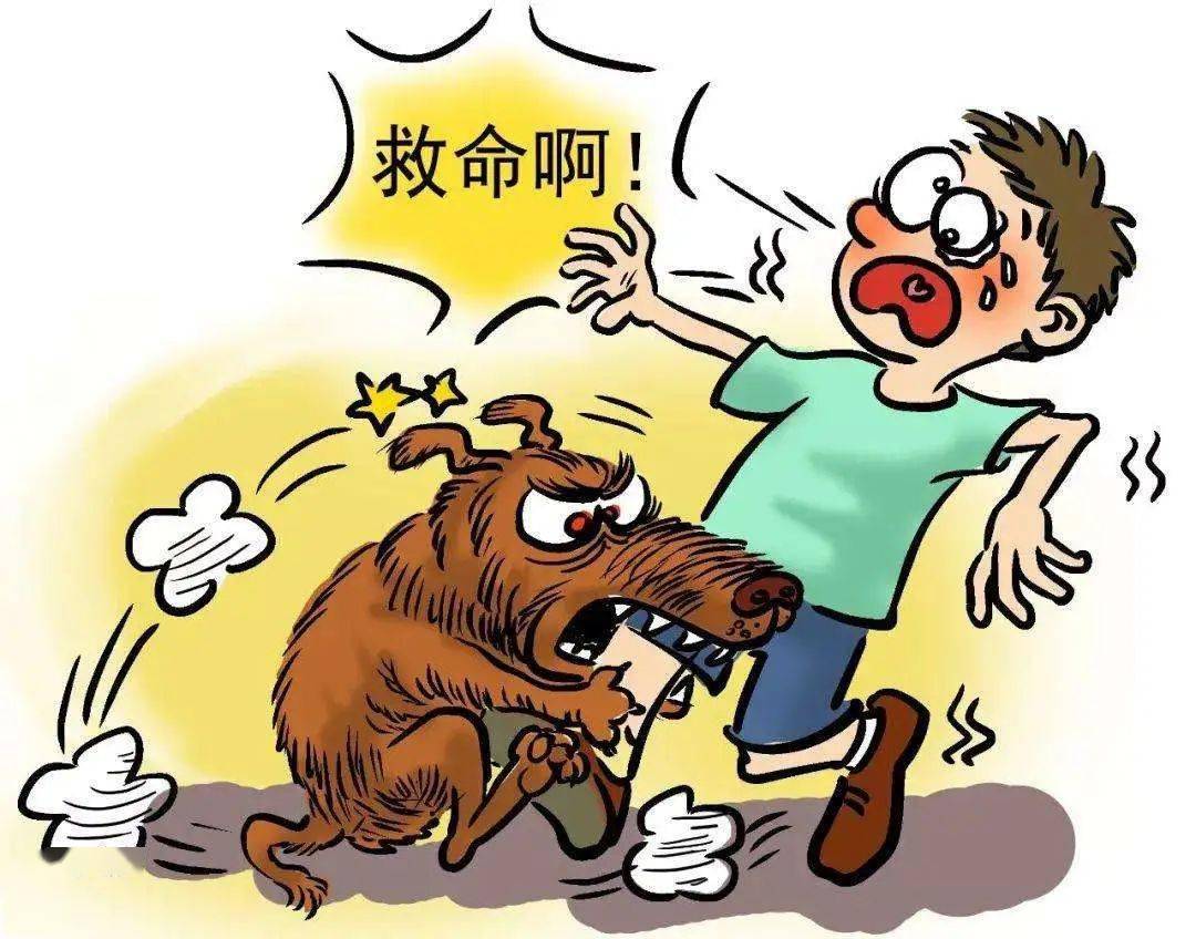 大型犬隔空一扑致人受伤狗主人也得赔偿房山法院解读