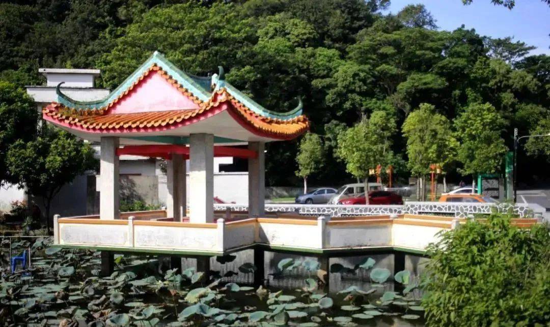 马冈森林公园具有得天独厚的自然生态环境是一个三面环水的小岛容桂