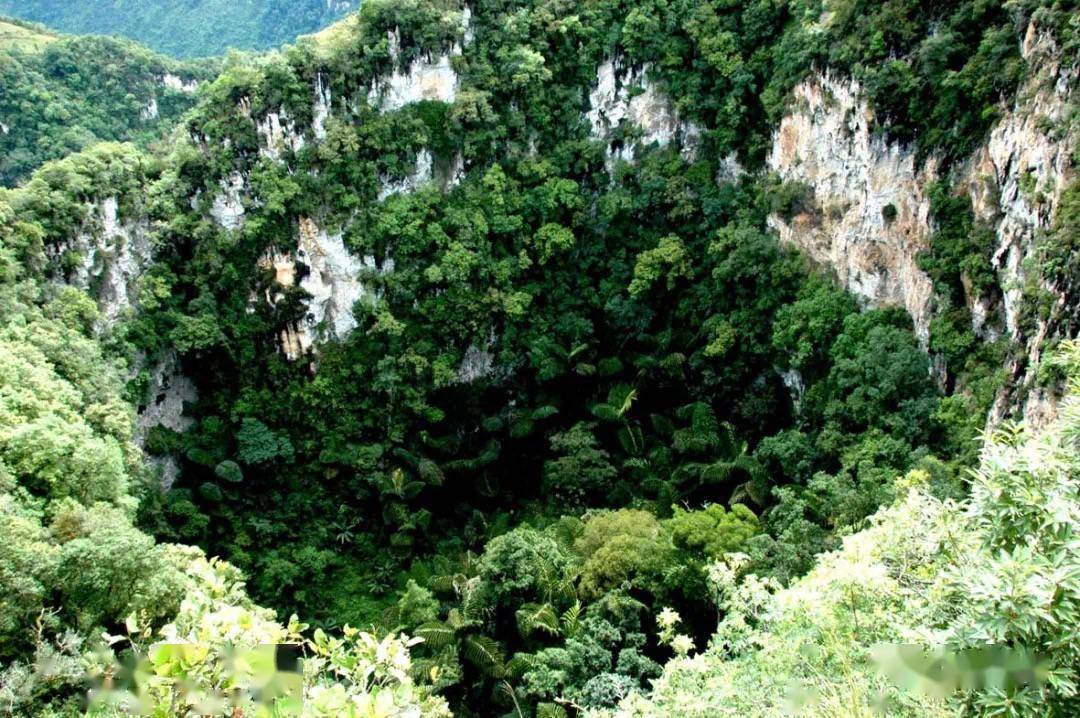 雲南這處峽谷升級4a景區,上海曾為它打造一部歌舞劇_崖畫_旅遊_滄源縣