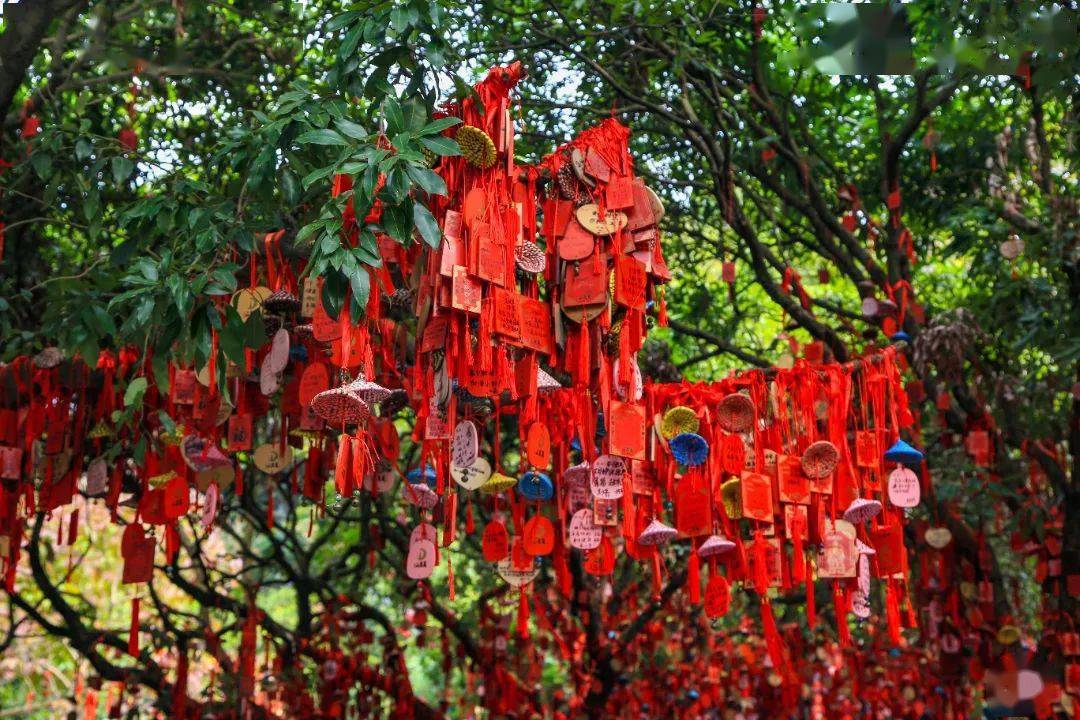 凤凰山,变成"分手山"?_姻缘_凤岩_山顶