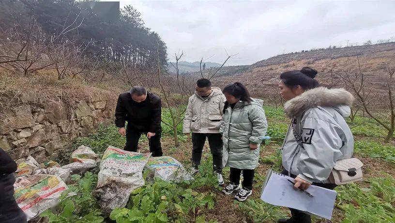 敘永縣農業農村局到赤水鎮調研秸稈堆肥項目