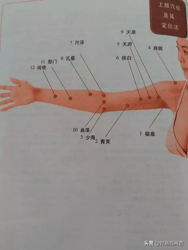 上肢穴位 肩部腰部穴位 胸腹部穴位 胸腹部穴位 头面颈部穴位 头面颈部穴位 位手掌穴位 手臂外侧穴位