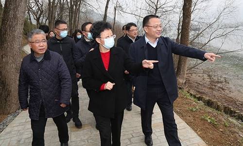 富阳区领导专题督查现代版富春山居图示范段建设情况