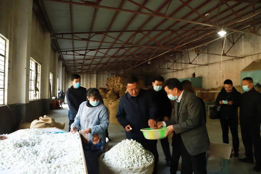 陈富华到重点民营企业调研生产发展等工作_昭通市_疫情_巧家县