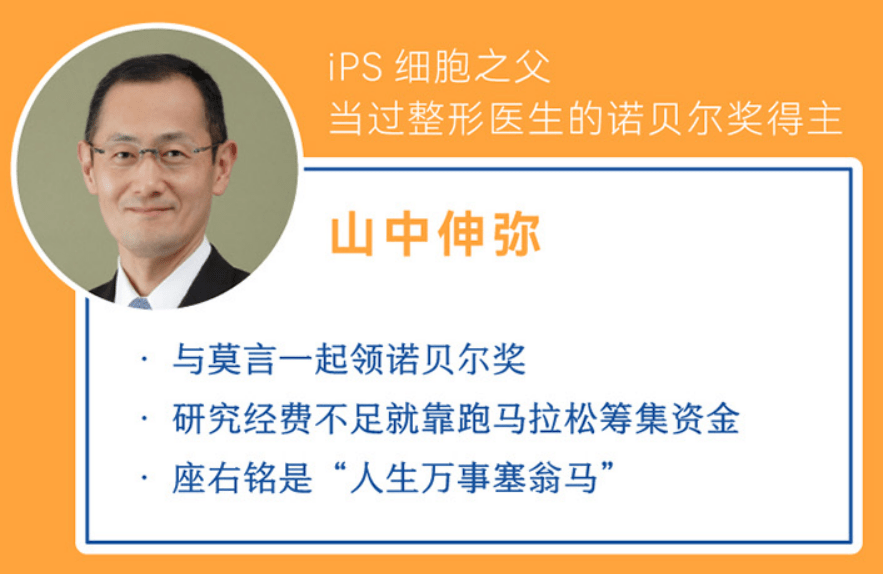 上海译文全新书系 译文视野 首推新书 聚焦ai与未来消费形态 羽生 人类 日本