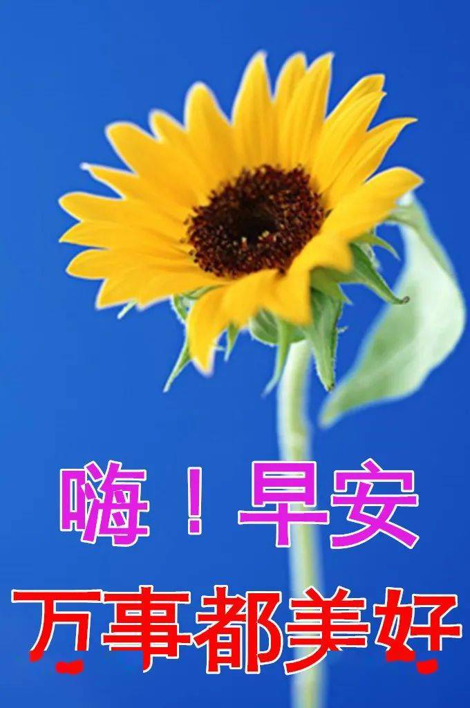 1月13日最漂亮早上好动态表情图片大全早晨好动图美图大全