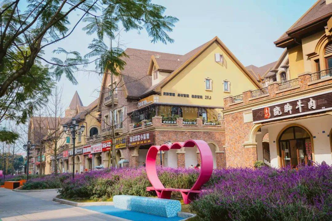 左侧为柳河社区,包含了为明学校,金铭幼儿园,金科廊桥水乡楼盘及配套