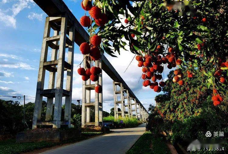 邱渭華《醉美的路》(組照提取)黃穎《金灑大地》黃穎《杏花村雕塑》譚