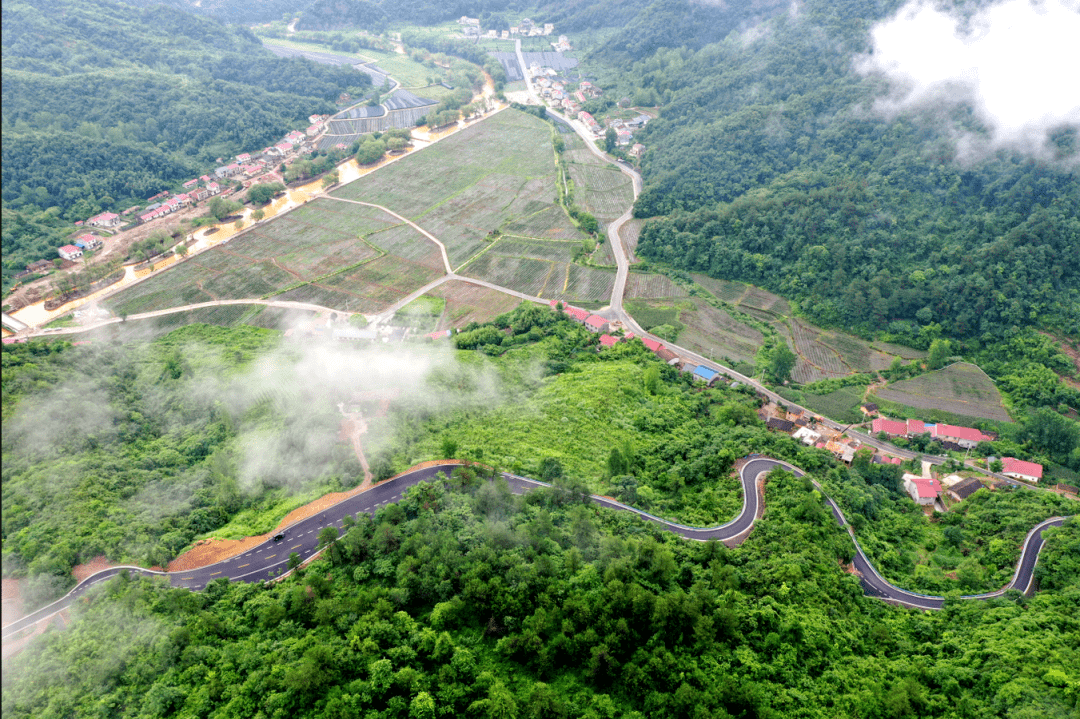 喜讯旧县镇荣获2021年度湖北省森林城镇称号