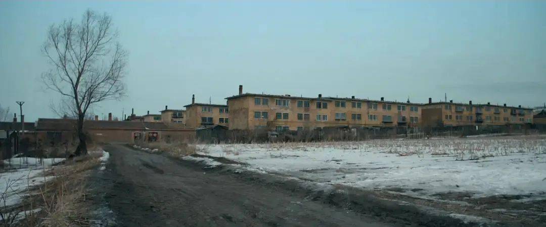 鹤岗|它,不止有马丽和章宇!