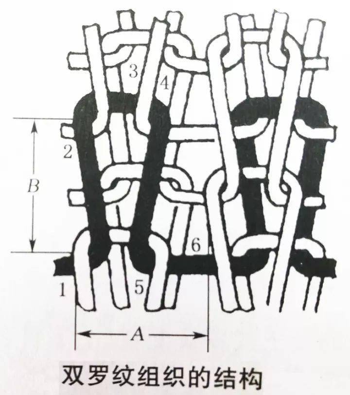 针织入门知识——纬编_线圈_针织物_机构