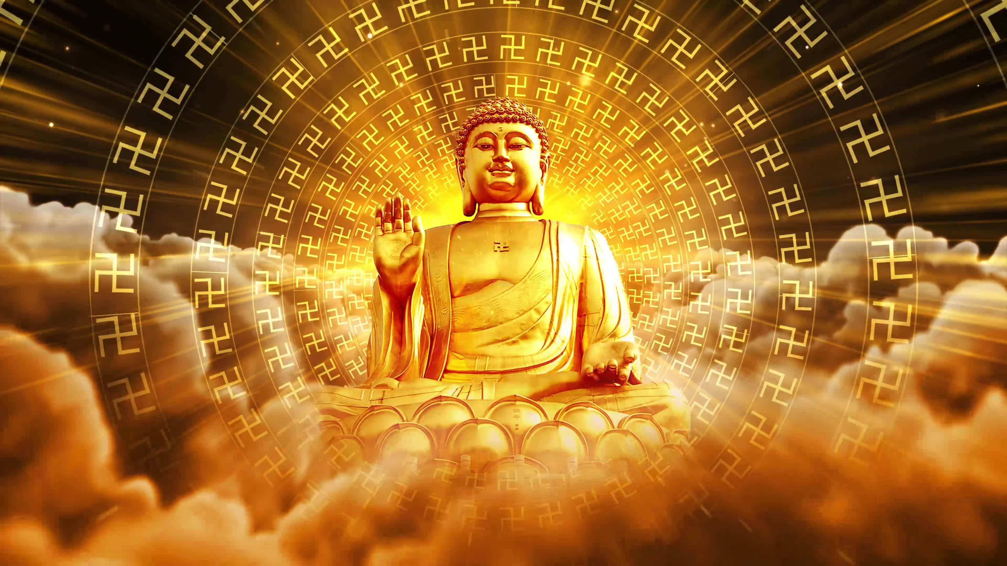 尔冬升主演达摩祖师其中暗藏了诸多禅机很多人为何看不懂