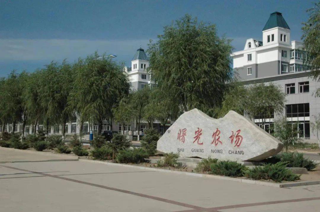 优化城镇环境 切实改善民生_曙光农场_文化_发展