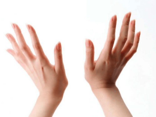 手是什么形状的 1c7d650f80c443b6b98104f010950268.png